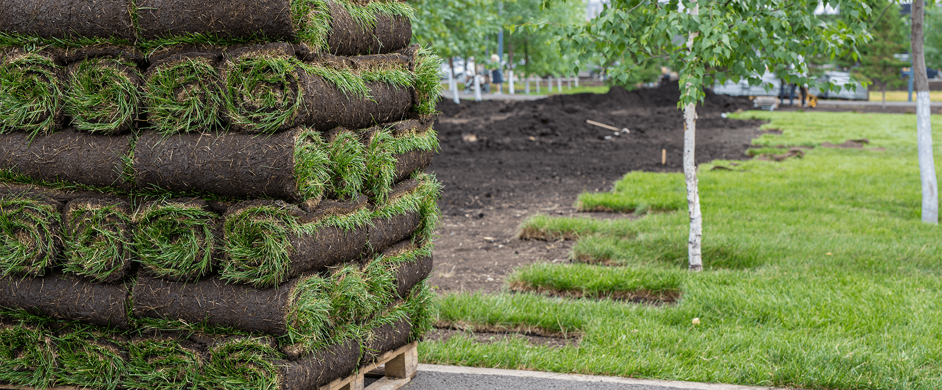 Site Preparation Contractor